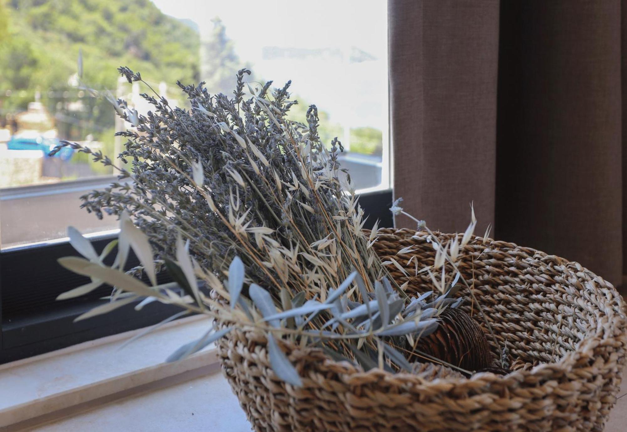 Kaktus Suites Kaş Buitenkant foto